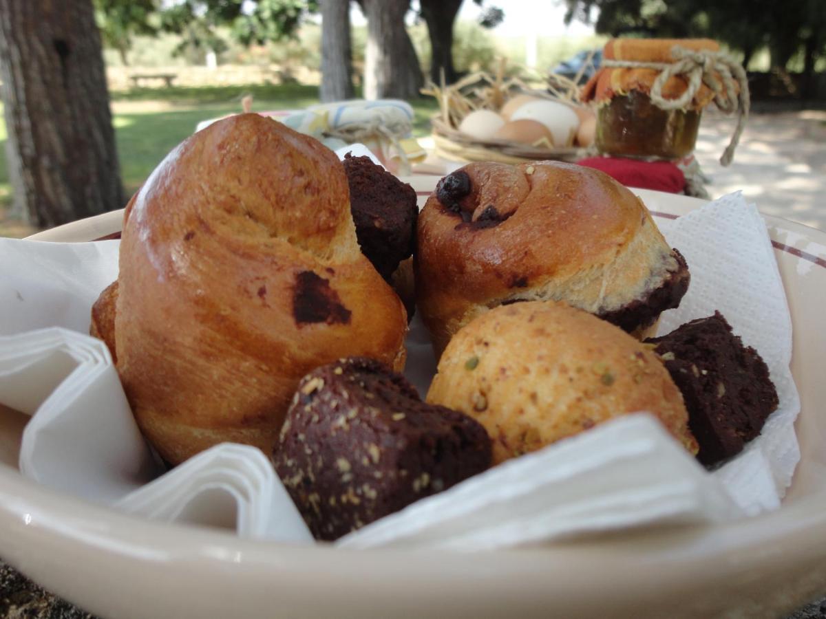 Cefalicchio B&B Canosa di Puglia Kültér fotó