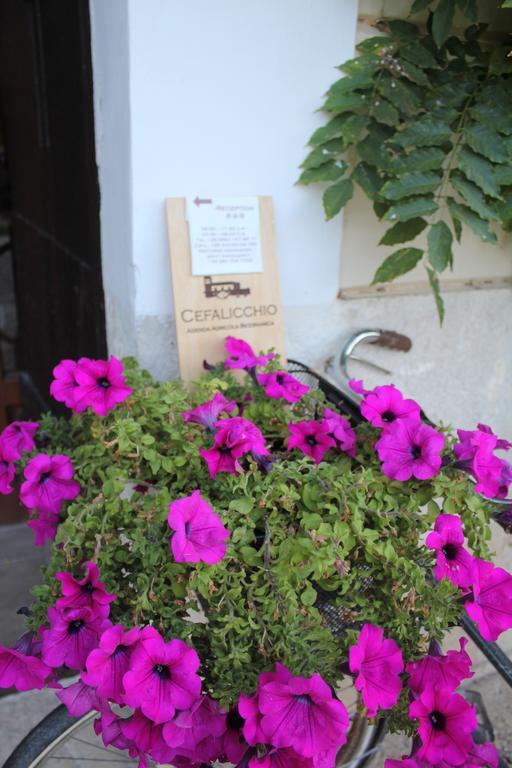 Cefalicchio B&B Canosa di Puglia Kültér fotó