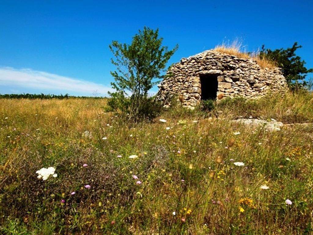 Cefalicchio B&B Canosa di Puglia Kültér fotó